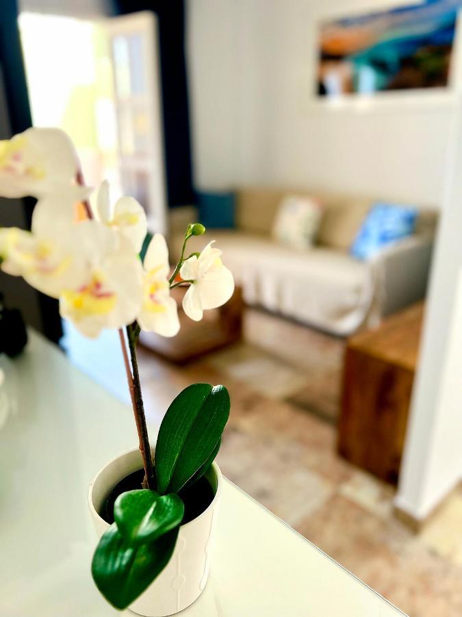 Cosy, New Studio In Costa Adeje מראה חיצוני תמונה
